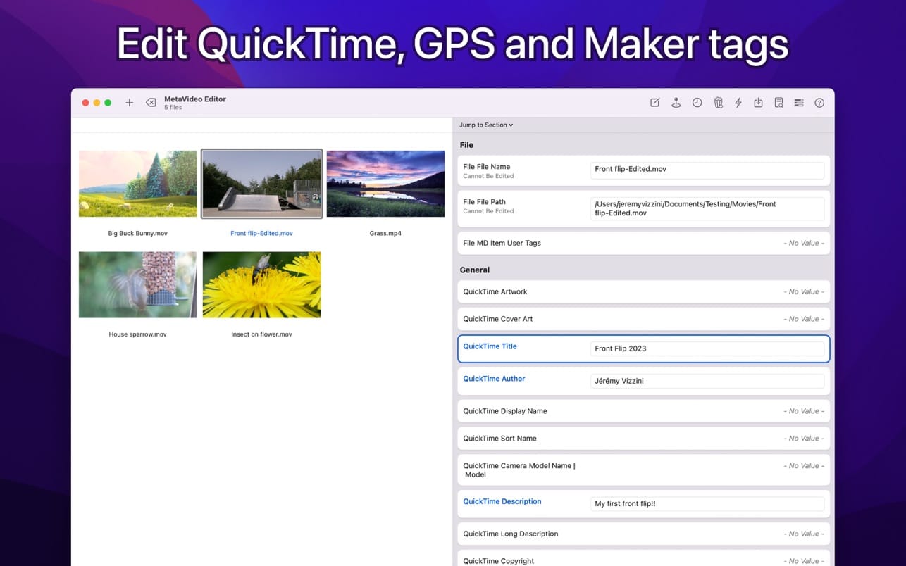 MetaVideo 1.1.6 -   视频元数据管理