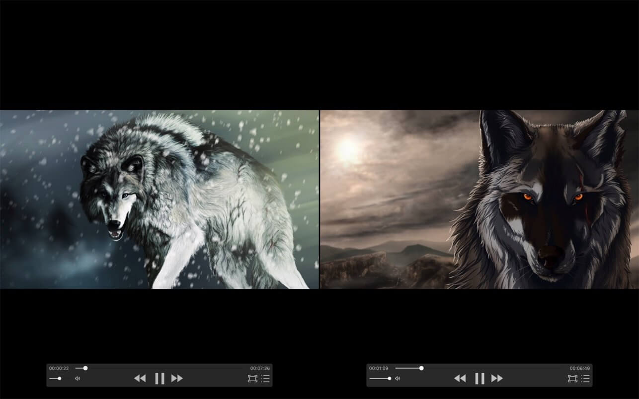 zFuse Pro 1.7.44 -   视频播放器